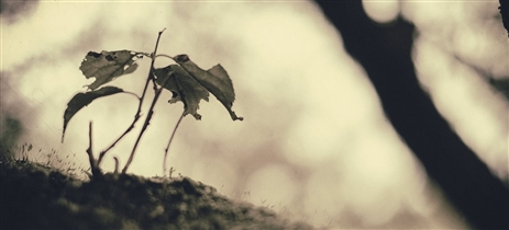 �]����锯�̐�����m�낤